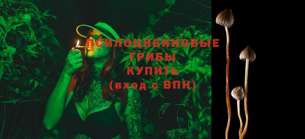 стаф Дмитриев