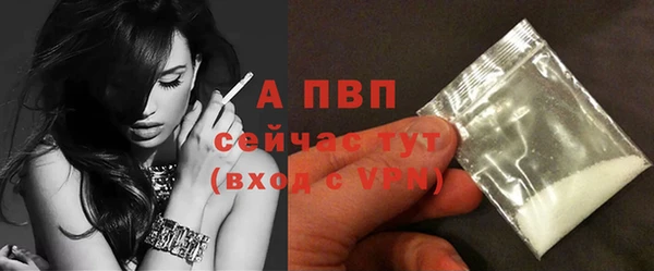 стаф Дмитриев