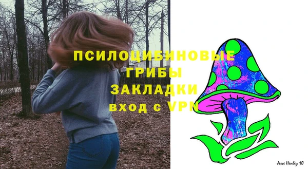 стаф Дмитриев