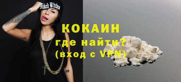 стаф Дмитриев