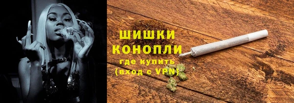стаф Дмитриев