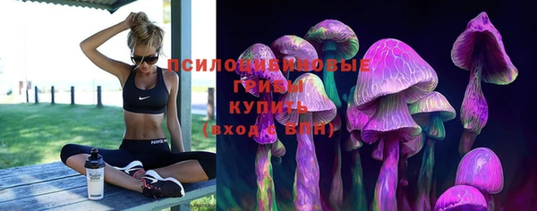марки lsd Дмитровск